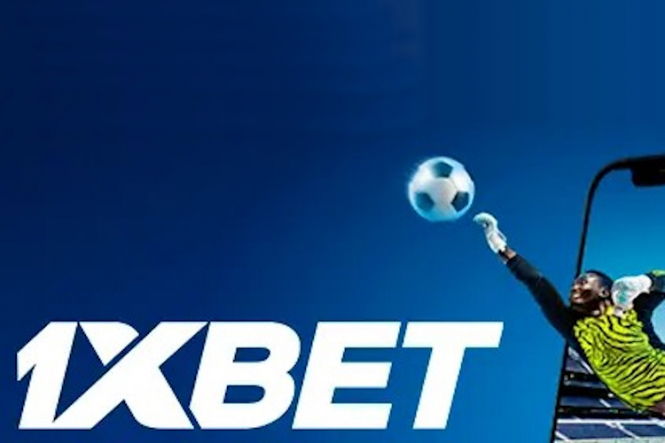 Comprehensive Guide to 1xBet India