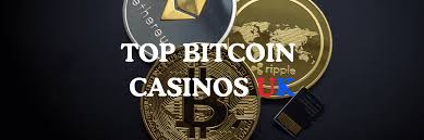 Exploring the New World of Crypto Casinos A Comprehensive Guide